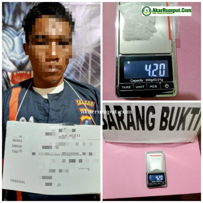 
					Personel Polsek Bilah Hulu Polres Labuhanbatu berhasil menangkap seorang pria yang diduga sebagai pengedar narkotika jenis sabu dalam sebuah penggerebekan di Dusun Purbasari, Desa Bandar Tinggi, Kecamatan Bilah Hulu, Senin (14/04/2025) malam