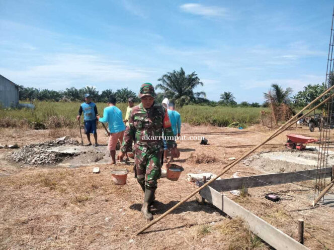 
					Sertu Sri Sugianto Babinsa Desa Teluk Piai laksanakan pendampingan petani tanam padi jenis lR 32 di lahan seluas 6 Ha milik Kelompok Brigade Pangan Arjuna Damai di Dusun Terusan Desa Teluk Piai Kecamatan Kualuh Hilir Kabupaten Labura, Selasa (13/05/2025)