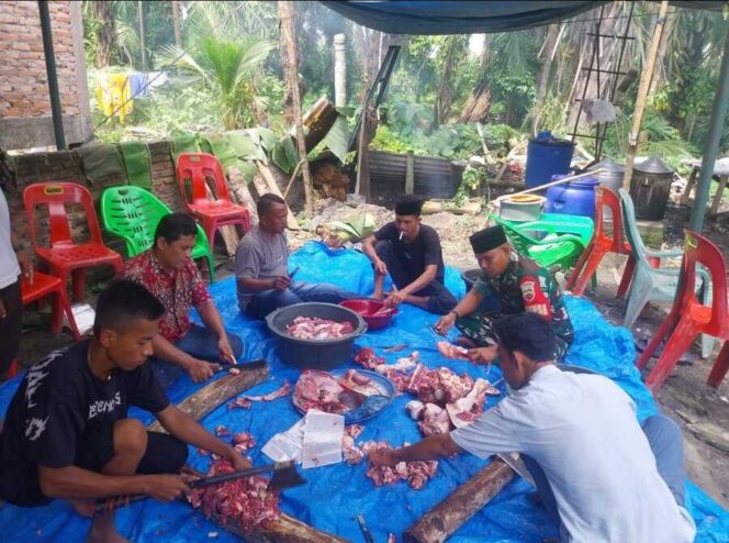 
					Babinsa Koramil 12/LP Serda Edy Harahap, turut serta dalam kegiatan pemotongan hewan Qurban bersama masyarakat Jumat (06/06/2025)