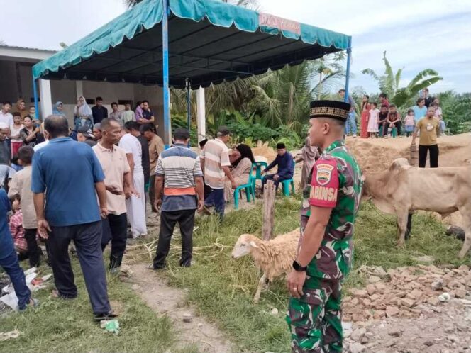
					Babinsa Koramil 01/AK Serda Buhori melihat proses pemotongan hewan kurban bersama warga di belakang pekarangan Masjid At Taqwa Lingkungan XII Atas Kelurahan Gunting Saga Kecamatan Kualuh Selatan Kabupaten Labuhanbatu Utara, Jumat (06/06/2025)