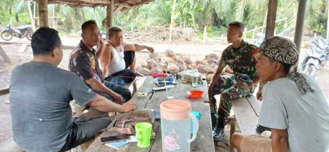 
					Babinsa Koramil 04/Labuhan Bilik Kopda Surya Alwin Siregar melaksanakan monitoring perkembangan situsi di Desa Pasar Tiga Kecamatan Panai Tengah Kabupaten Labuhanbatu, Senin (09/06/2025)