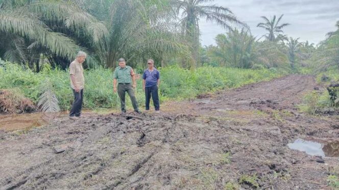 
					Babinsa Koramil 09/NL Serda Renol Gultom melakukan peninjauan langsung terhadap jalan rusak yang berada di Dusun Wonosari Desa Sei Tampang Kecamatan Bilah Hilir Kabupaten Labuhanbatu, Selasa (17/06/2025)