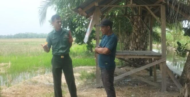 
					Babinsa Koramil 09/NL Serma Yogie Endar Komsos bersama Ketua Kelompok Tani Dedi Selasa (08/07/2025)