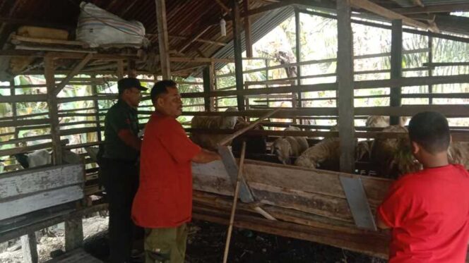 
					Babinsa Koramil 09/NL Koptu Irawadi kunjungan  komsos ke kandang ternak milik Supri, warga Desa Perkebunan Negeri Lama, Kecamatan Bilah Hilir, Kabupaten Labuhanbatu, Selasa (08/07/2025)