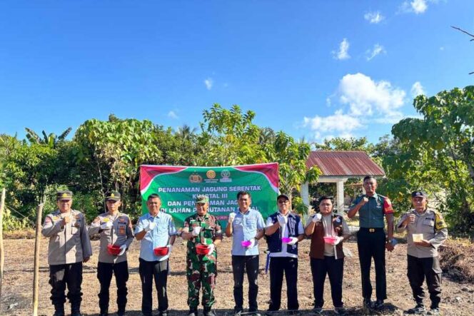 
					Danramil 06/MB Mayor Inf Kurniawan Edi Saputra menghadiri undangan kegiatan Penanaman jagung serentak Kuartal III dan Penanaman jagung di lahan perhutanan sosial di Dusun 1 Desa Simpang Empat Kecamatan Marbau Kabupaten Labuhanbatu Utara,  Rabu (09/07/2025)