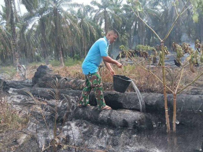 
					Babinsa Koramil 13/AN Serda Agus turun langsung ke lokasi kebakaran lahan di wilayah Desa Pematang Seleng