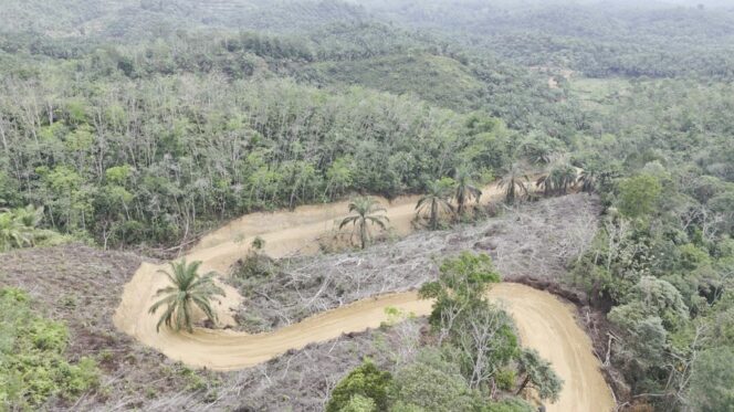 
					Jalan yang tengah dibangun ini menghubungkan dua dusun di Desa Tanjung Medan