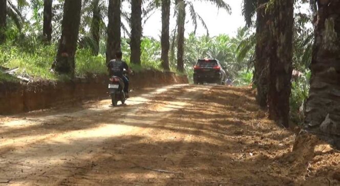 
					Jalan Baru di Desa Tanjung Medan, Warga Rasakan Dampak Nyata