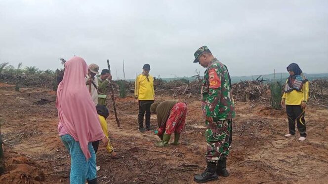 
					Babinsa Koramil 13/AN Pelda Sukiadi Kodim 0209/LB mendampingi petani Desa Lingga Tiga pada kegiatan penanaman padi darat, Jumat (12/09/2025)