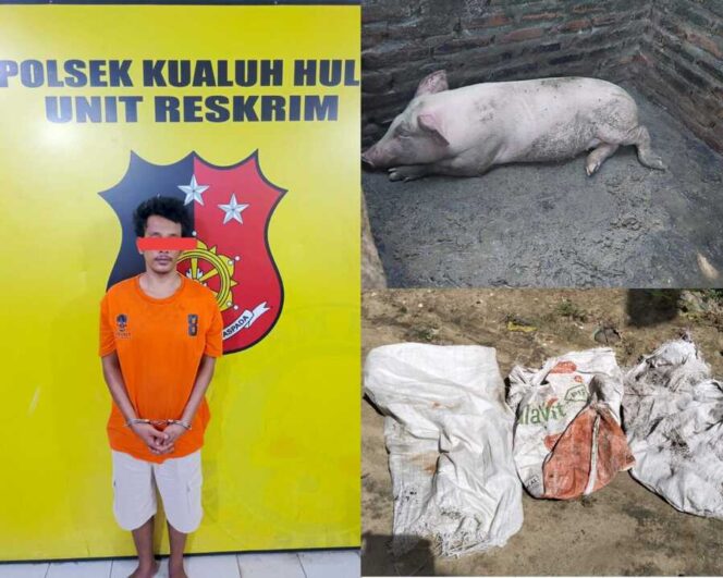
					Tersangka BAS (31) yang diduga mencuri ternak babi dan besi rel kereta api