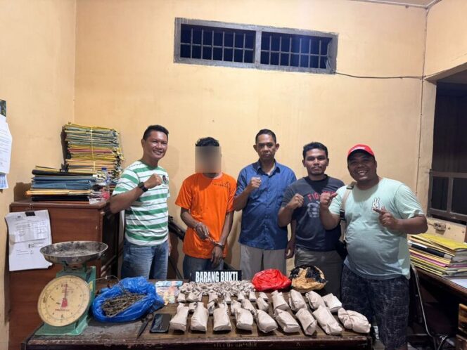 
					Unit Reskrim Polsek Bilah Hilir berhasil menangkap seorang laki-laki bernama HS (35), Rabu (26/11/2025)