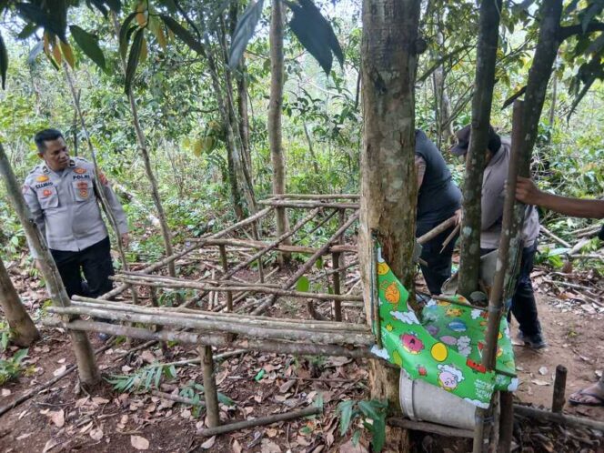 
					Polsek Bilah Hulu grebek lokasi diduga sarang narkoba di Dusun Siborangan