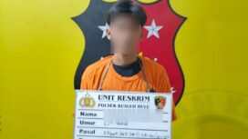 Terduga pelaku seorang pemuda berinisial MFA (24) 