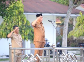 Turing Ritonga Tantang OPD Tingkatkan PAD demi Kemandirian Daerah