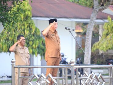 Turing Ritonga Tantang OPD Tingkatkan PAD demi Kemandirian Daerah