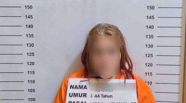 Opsnal Satresnarkoba Polres Labuhanbatu mengamankan wanita 44 tahun bersama 80 pil diduga ekstasi.